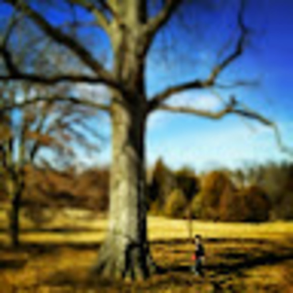 Meet your Posher, Chris - Picture 1 of 1